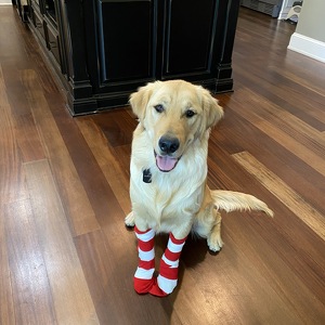 Fundraising Page: Terri Gray